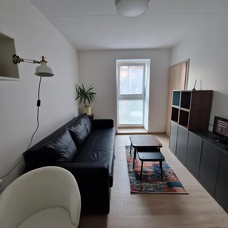 Jaukus Butas Pasilaiciuose فيلنيوس