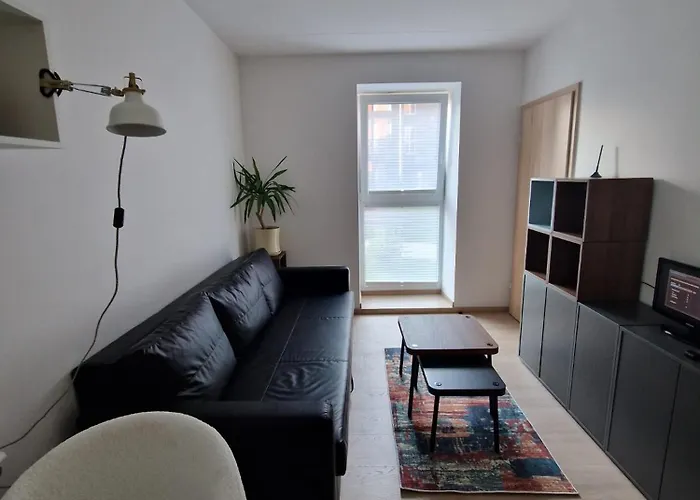 Jaukus Butas Pasilaiciuose Vilnius